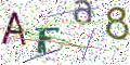 图形验证