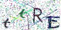 图形验证