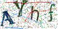 图形验证