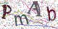 图形验证