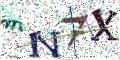 图形验证