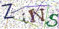 图形验证