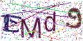 图形验证
