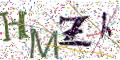 图形验证