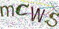 图形验证