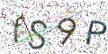 图形验证