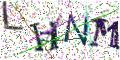 图形验证
