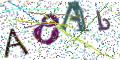 图形验证