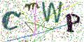 图形验证