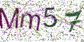 图形验证