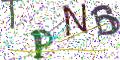 图形验证