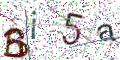 图形验证