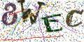 图形验证