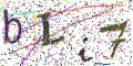 图形验证