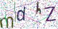 图形验证
