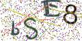 图形验证
