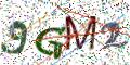 图形验证