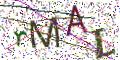 图形验证
