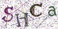 图形验证