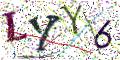 图形验证