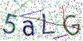 图形验证
